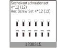 Absima Hex Screw Set 4*12 (12) ** CLEARANCE **