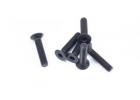 FTX Flat Head Hex 6Pcsm3*14 ** CLEARANCE **