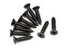 TP. Flat Head Screw M3*14mm (10pcs) ** CLEARANCE **