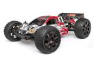 Trimmed and Painted Trophy Truggy 2.4Ghz RTR Body