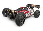 Trimmed and Painted Trophy Buggy Flux RTR Body