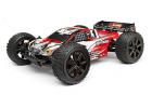 Trimmed and Painted Trophy Truggy Flux 2.4Ghz RTR Body