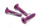 Aluminium TP Flat Head Screw (3x15mm Hex Head Purple/5Pcs) ** CLEARANCE **