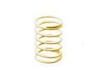 1 Springs 40.0 Rate (Yellow) (2) ** CLEARANCE **